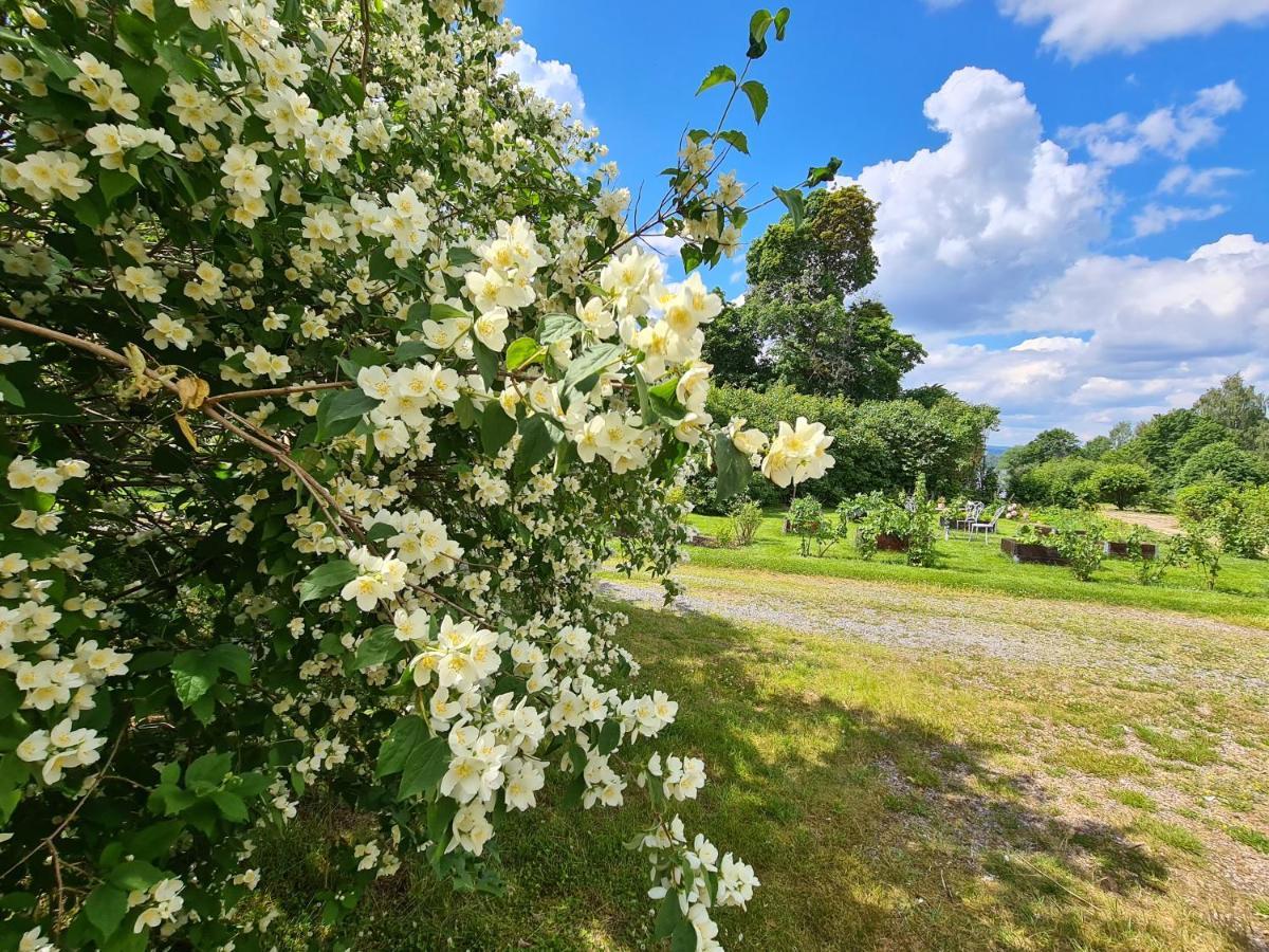 Risberg Herrgard Hagfors Zewnętrze zdjęcie